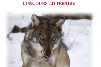 copertina lif