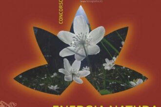 energianatura2011