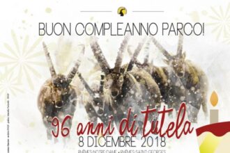 INVITO_BUON_COMPLEANNO_PNGP_96_02